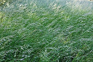 2024年腾讯游戏发布会官宣定档：5月28日